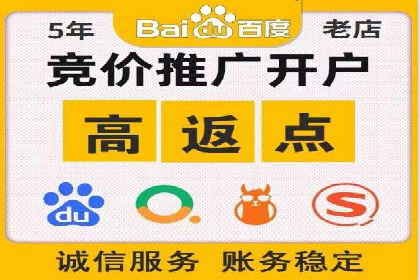 行业领先企业的SEM运营策略案例解析